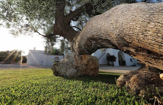 Agriturismo Masseria De Michele - Foto 47