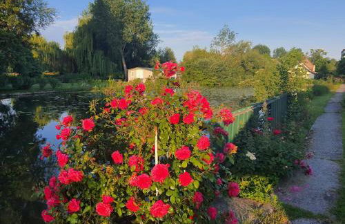 Le Cottage des Hortillonnages - Foto 15