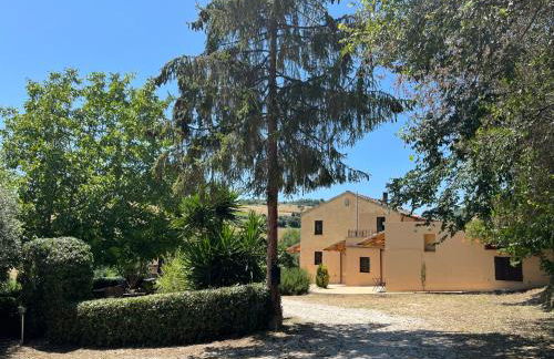 Vineyard Farmhouse in Massignano - Foto 1