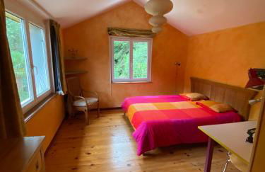 Maison située au Val de Baubère, petite vallée à coté du village de Seix - Foto 2