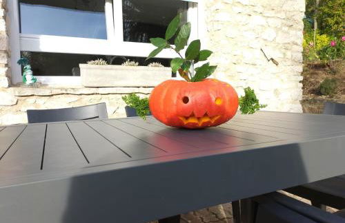 Gîte l'Olivianne - Foto 13