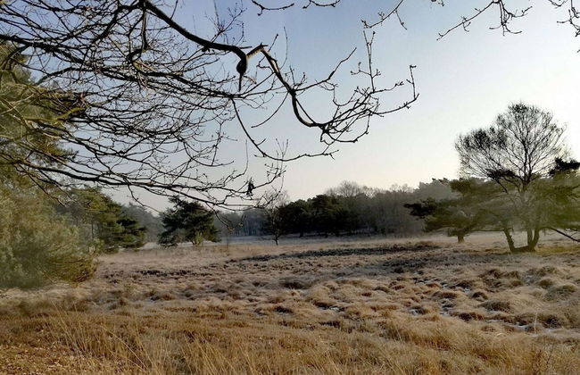 Single-storey House With Garden, in a Natural Area - Photo 19