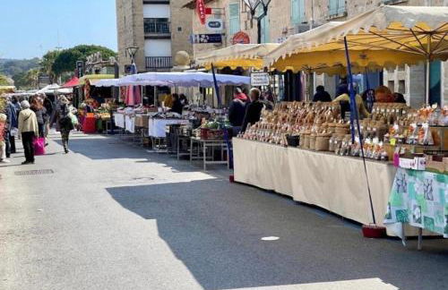 T2 MODERNE VUE MER LES SABLETTES CLIM- WiFi- PARKING - Foto 35