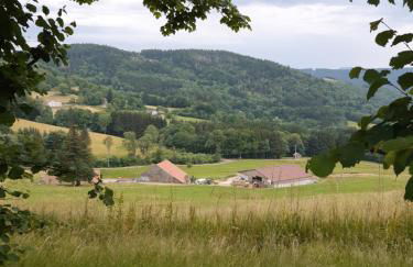 Le Gîte du Chat Gru - Foto 1