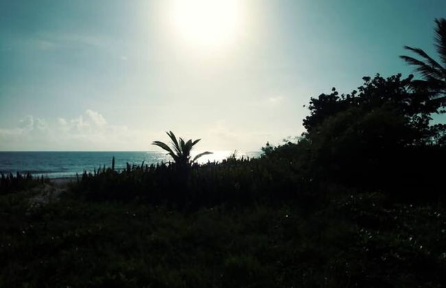 2 Room House Front Kite Beach Cabarete - Photo 25