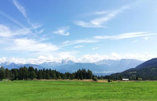 Haus Gläserer apartments - Foto 20