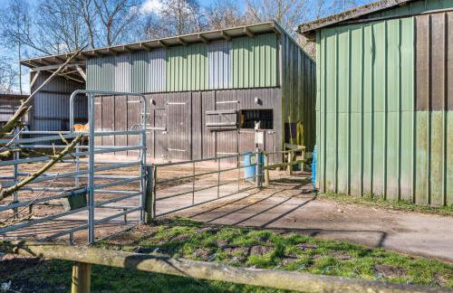 Ferienhof Friccius - Foto 29