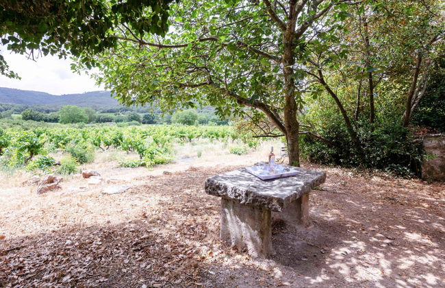 Le Cabanon - Photo 27