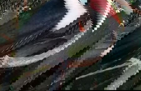 Room-the White-orange Bedroom With a ple - Foto 9