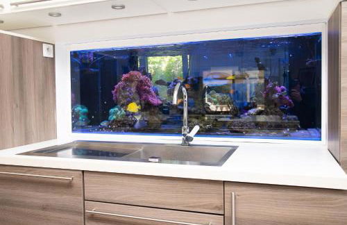 Maison avec piscine à Biot Antibes - Foto 13