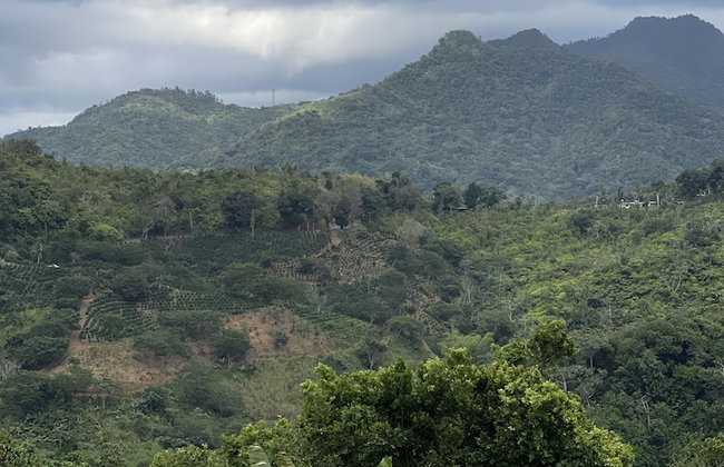 HACIENDA ILUMINADA ECO RETREAT - Foto 39