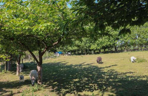 The White Cloud Bus - Foto 22