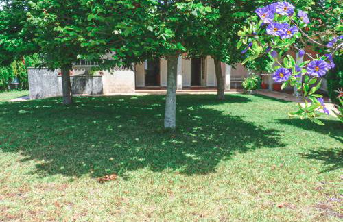 Casa da Balseira - Foto 10