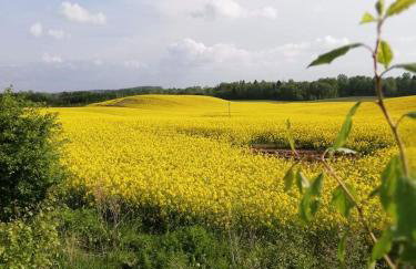 W starej szkole - agroturystyka - Foto 69