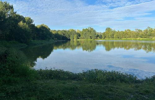 Lovely Holiday Home in Loire for 10 - Photo 32