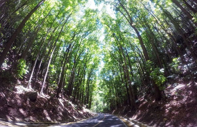 Alaia Studios - Foto 41