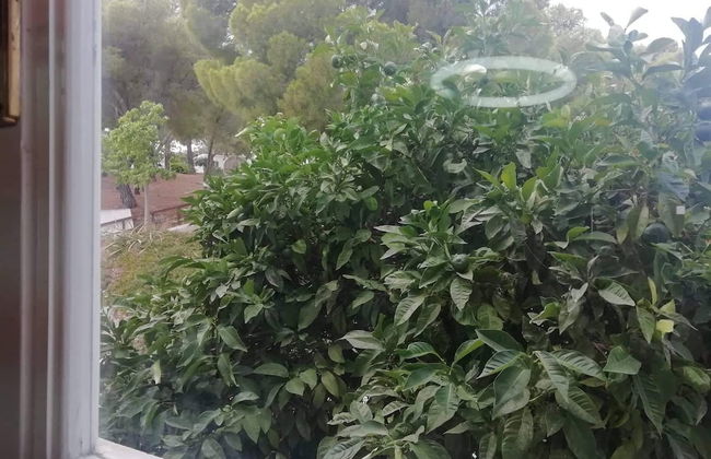 Nice House With sea View in Spetses, Greece - Foto 12