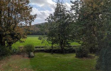 Traditional Farmhouse in Seaforde - Foto 9