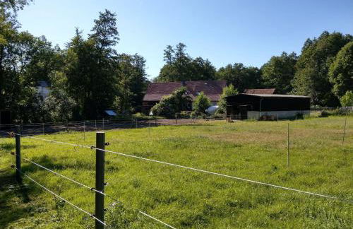 Wassermühle Habighorst - Foto 30