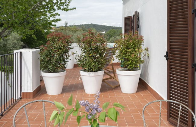 Finca El Azahar - Photo 22