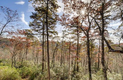 Modern Mountain-View Sanctuary in Pisgah Forest - Foto 20