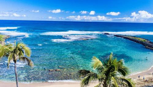 Turtle Bay Perfect Family Destination near beach - Foto 5