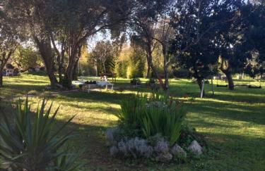 LA FRASCA FRESCA - Photo 21