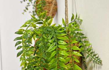 Reformado. Plaza de Toros. A/C - Photo 44