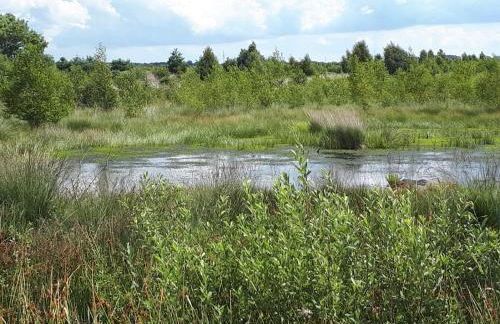 Haus am Moor - Foto 31