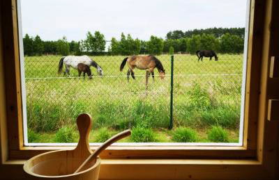 Słoneczny Zakątek Słajszewo - Foto 55