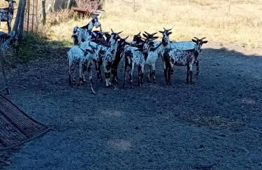 Lake View House _ Montargil - Foto 41