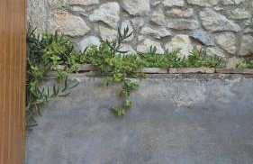 Bonvivan House - Photo 43