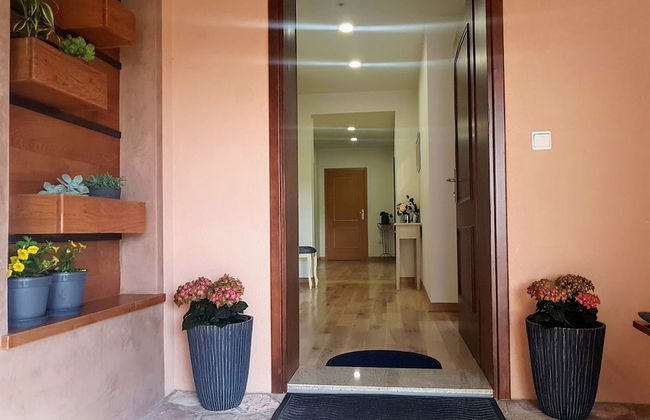 Apartmani Magnolija - Foto 18