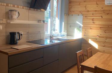 Domki całoroczne - u Ptaka - Miłków - Foto 33