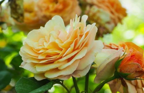 Casa de Pereiró - Foto 40