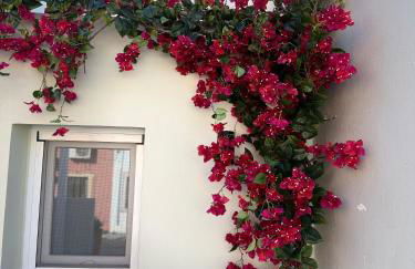 Casa Moureto - One bedroom Sea View Villa with Jacuzzi - Photo 33