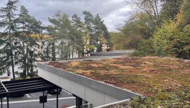 Cozy Apartment Beethoven mit Balkon - Foto 5