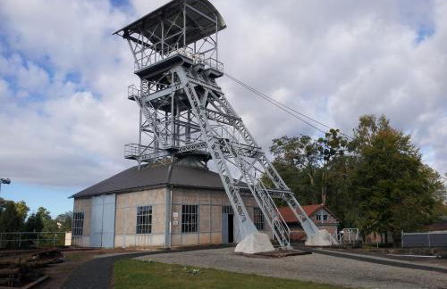 Les Buissonnets - Foto 42