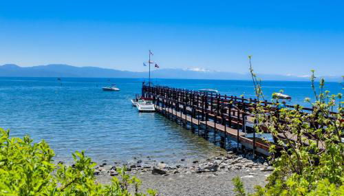 Tree-Lined Views #8 - Photo 4