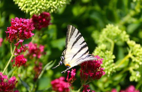 Agriturismo Podere Prasiano - Photo 44