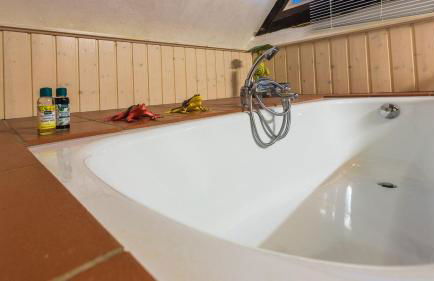 Reetdachhaus mit Elbblick - Foto 19