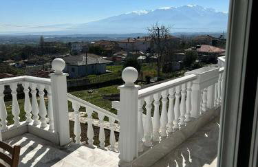 Olympus View - Foto 14