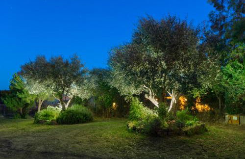 Can Nentia - Foto 15