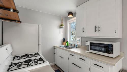 The Nicollet Nook Unit 1 - Foto 5, furniture, stove