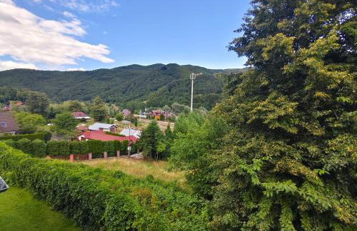 Willa Rogaś II - Foto 27