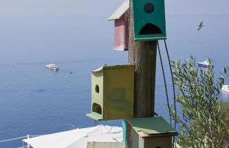 VILLA MARINA PICCOLA ai FARAGLIONI - Foto 9