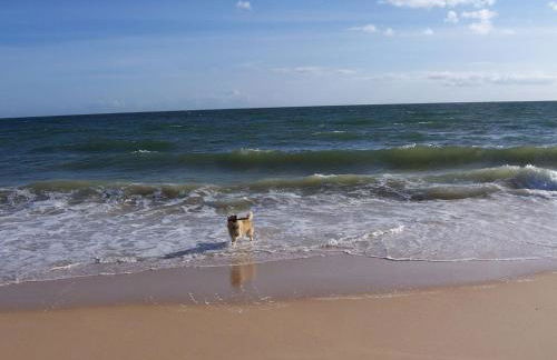 Villa Monte Alegrete with sea view - Foto 51