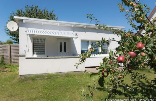 Ferienwohnung in Bodden & Ostsee nähe - Foto 16