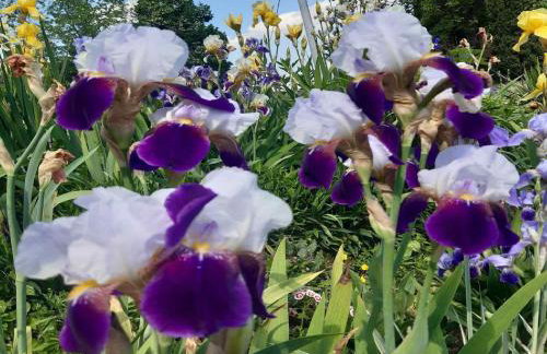 Holiday Home Martin - Foto 31