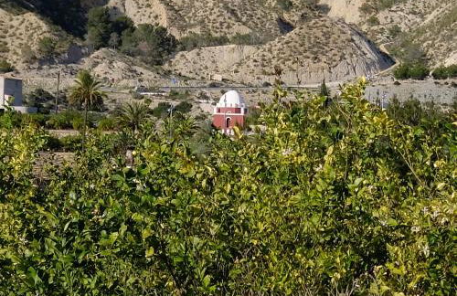 La Joya del Valle de Ricote - Foto 52